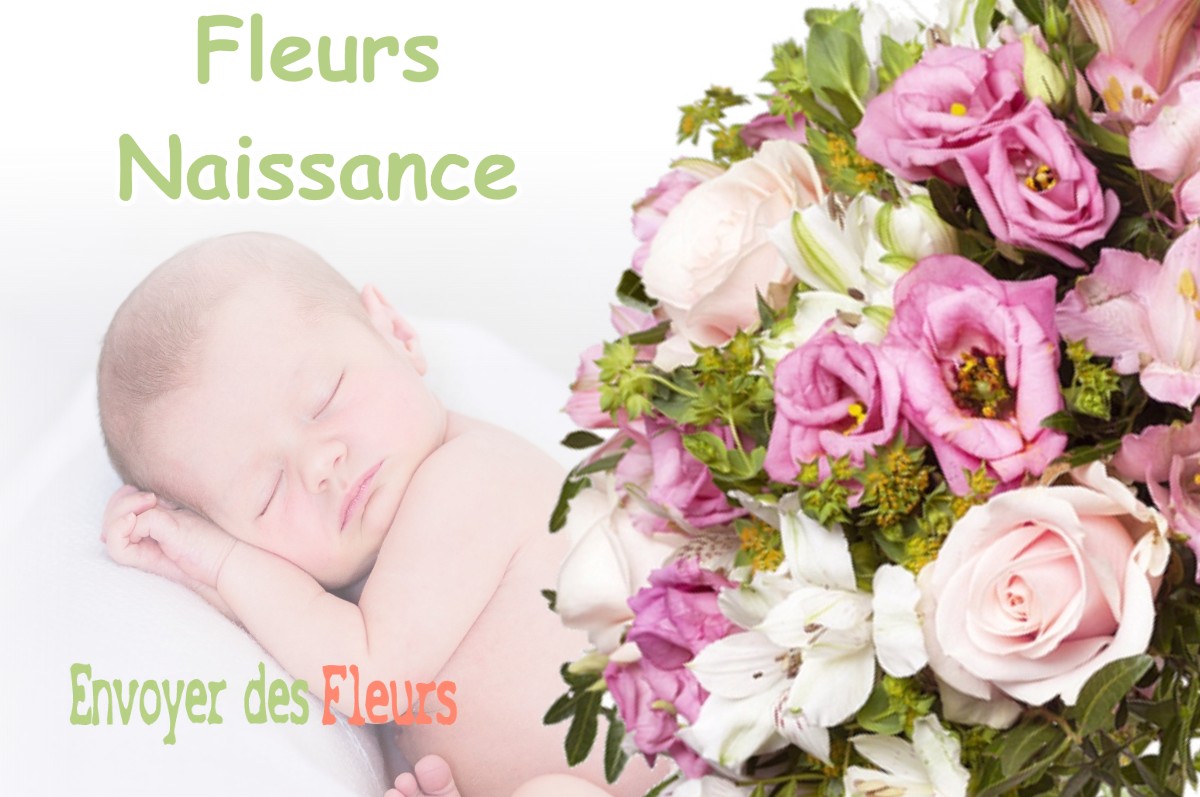 lIVRAISON FLEURS NAISSANCE à ROUVROIS-SUR-MEUSE